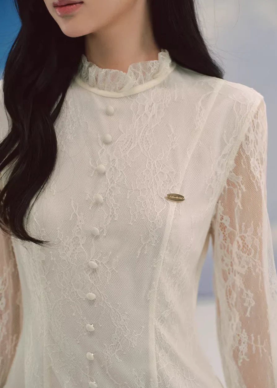 Ivory Rose Lace Chiffon Dress - Image 8